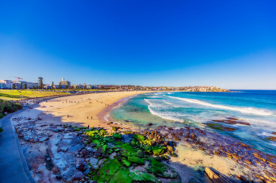 Australia, New South Wales, Sydney, Bondi Beach