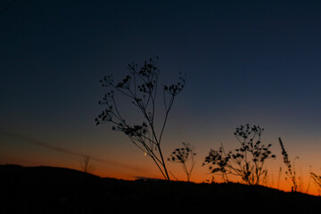 Fototapeta premium sunset in the mountains