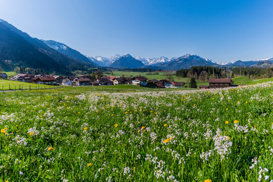 Germany, Bavaria, Allgaeu, Oberallgaeu, Allgaeu Alps, Illertal, Rubi