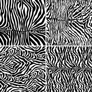 Abstract zebra skin texture wallpaper collection vector seamless pattern
