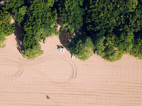 Indonesia, Bali, Nusa Dua, Aerial view of green trees stretching along sandy beach