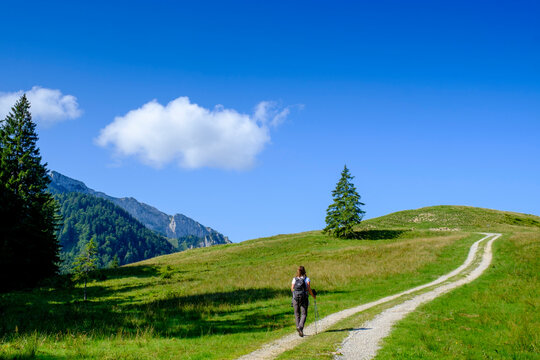 Germany, Bavaria, Lone hiker on way to Langenberg