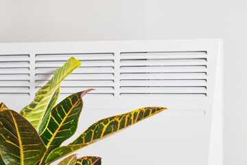 croton plant and electric heater on a gray background © Natasha