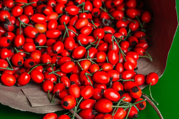 fresh rose hips in a paper bag,background dog rose