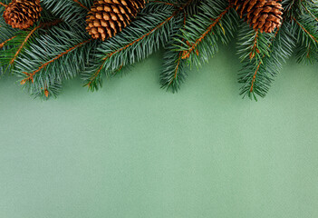 Christmas background concept. Christmas tree branches with cones.