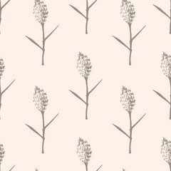 Simple hand-drawn calm floral vector seamless pattern in pastel colors. Panicle inflorescences, pampas grass, reeds on a light background. For prints of fabric, wallpaper, textile products.