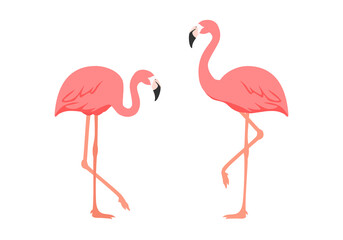 Two pink flamingos vector illustration isolated on white background