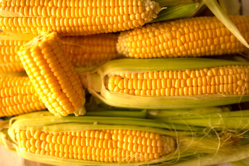 Fresh juicy summer raw corn