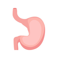 Stomach icon. Human internal organs symbol