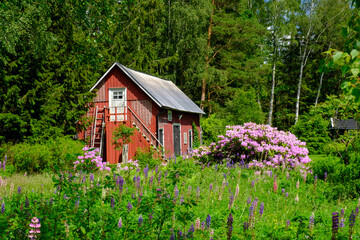 Flowers blooming in front of forest cottage