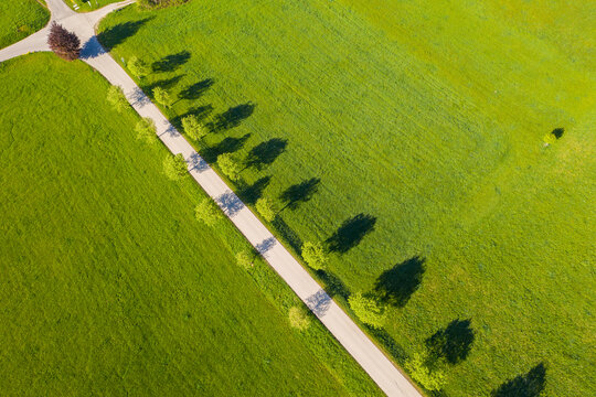 Germany, Bavaria, Eurasburg, Aerial view of treelined countryside road in summer