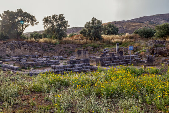 Old apollon temple architecture during sunset at Gortyn, Crete, Greece