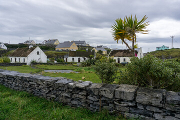 Fototapeta premium little village with white houses an a stone wall and a palm tree on Aran Islands in ireland