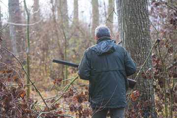 Hunting season concept; on hunter with carbine back view walking in wet autumn forest;