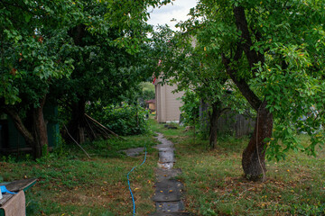 garden path made of rubber after rain