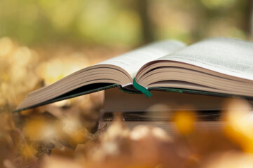 Obraz premium reading books in the fall in the park, open book against the background of yellow leaves, blurring, selective focus. High quality photo