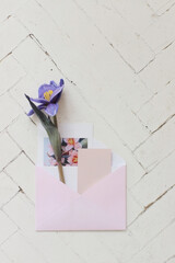 Minimal composition with a pink envelope, peach business card and postcard with blue tulip. Flat lay. Top view.