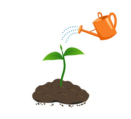 watering the young plant growing in the ground from a watering can.