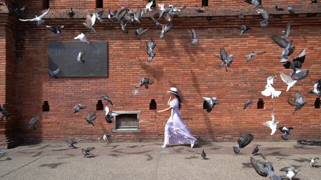 Tourists enjoy watching birds at tha Phae Gate in Chiang Mai.