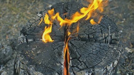 Swedish or finnish log candle. Fire burning from inside the wooden log at day. Cooking on a fire....
