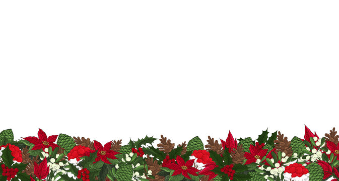 Christmas banner with traditional decoration plants. Winter border holiday ornament. Poinsettia flowers, pine cone, holly berry and leaves, mistletoe branch with berries. Festive new year print.
