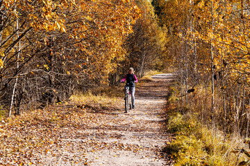 Fototapeta premium A girl rides a recreational bicycle through the park. Autumn leaves fall. A sunny autumn day.