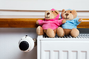 Two teddy bears are sitting on a radiator in the house