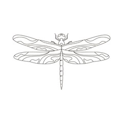 Dragonfly vector icon. Outline illustration