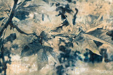 Maple tree branches with leaves.