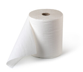 Rolls of paper towels