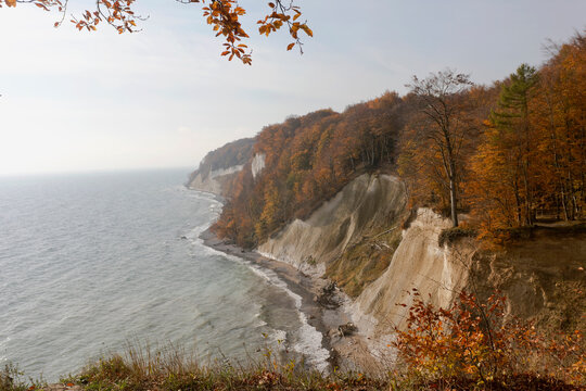 Germany, Ruegen, Chalk cliffs with autumn forest at Baltic sea