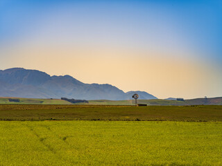 Fototapeta na wymiar Traditional windmill in the overberg valley during sunset in Western Cape South Africa