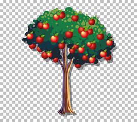 Apple tree on transparent background