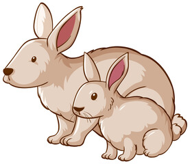 Fototapeta na wymiar Mother and baby rabbit cartoon on white background