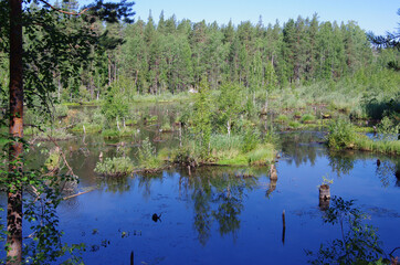 Girvas, Russia - July, 2021: Summer day on the Suna river