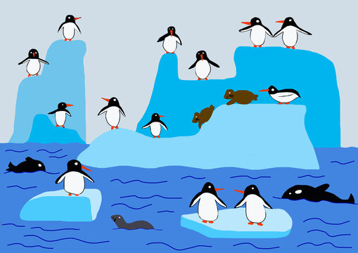 Child's drawing of penguins, seals and whales in the antarctic