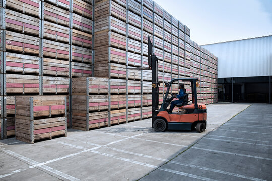 Worker on forklift and stacks of crates on factory yard
