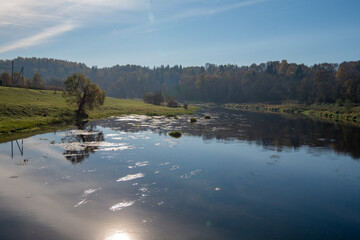 reflection of trees in the lake