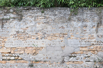 Texture de mur de pierre avec haie de végétaux