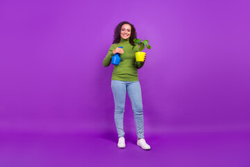 Photo of shiny attractive afro woman wear green turtleneck sitting holding water spray plant smiling isolated purple color background