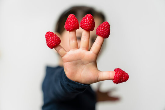 Girl's hand with raspberries on fingers