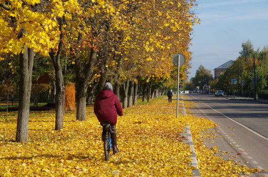 Kolomna, Russia - October, 2021: Zaitsev street on a sunny autumn day. Yellow maple leaves strewn the sidewalk