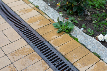 Grating of drainage system rainwater in the park at the sidewalk from a stone yellow paving slabs - obrazy, fototapety, plakaty
