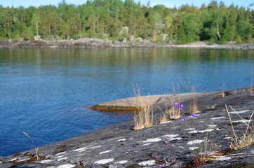 Ladoga skerries on Lake Ladoga in Karelia, Russia