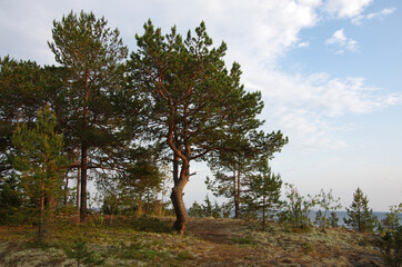 Obraz premium Ladoga skerries on Lake Ladoga in Karelia, Russia