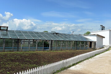 Greenhouse for growing fresh greenery on the territory of a prison hospital in the Tver region