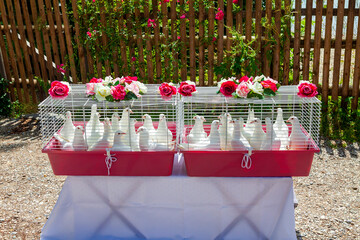 Cages with white doves prepared for wedding celebration