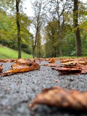 Herbst gemütlich Laub Hintergrund Wallpaper
