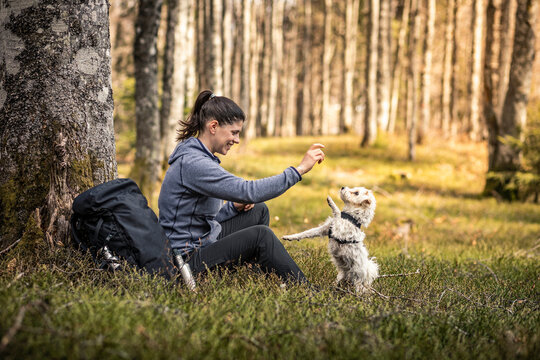 Female hiker playing with dog while sitting in forest