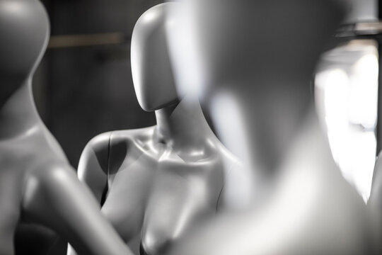 Grey female display dummies, partial view